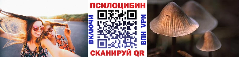 Купить где  Усолье  Галлюциногенные грибы Psilocybe 